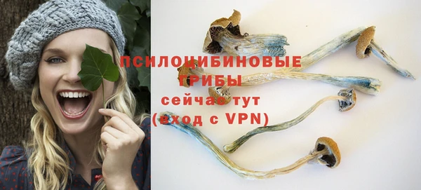 spice Балахна
