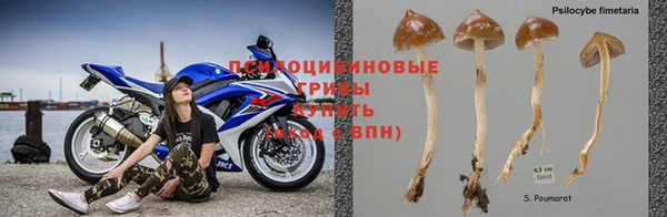 гидра Баксан